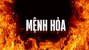 Mệnh Hỏa Hợp Cây Gì? 10 Loại Cây Phong Thủy Cho Mệnh Hỏa Mang Lại Tài Lộc