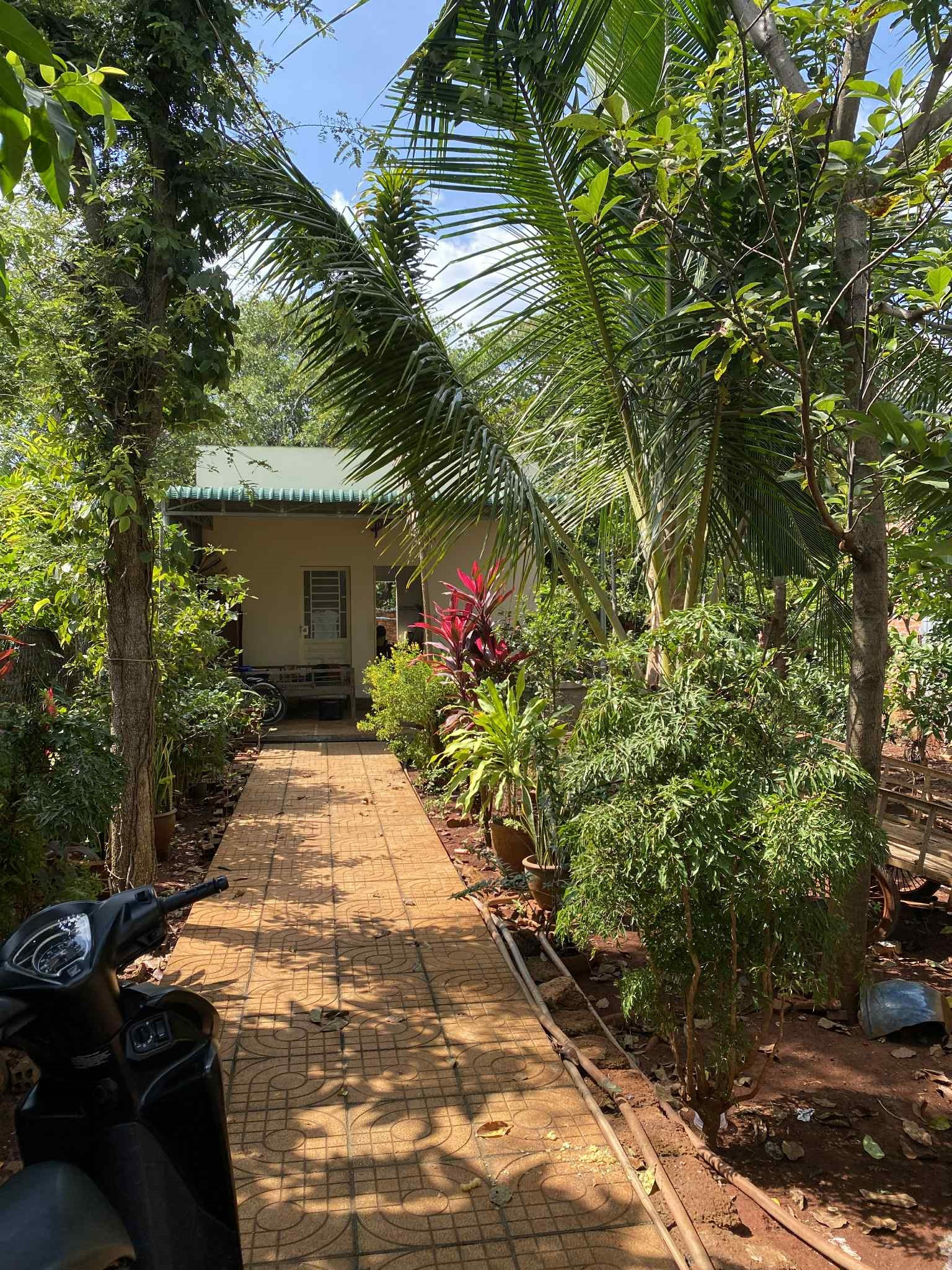 Ngôi Nhà Báo Hiếu Bình Yên Tại Xuân Lộc, Đồng Nai: Món Quà Trọn Vẹn Dành Cho Mẹ