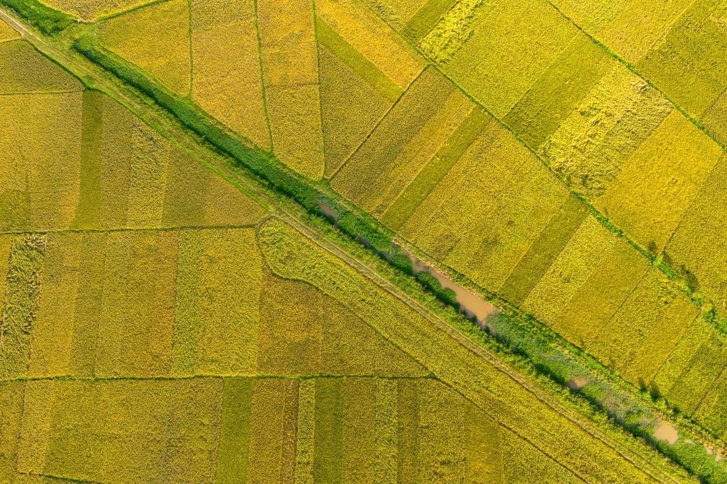 Toàn cảnh khu đất rộng gấp rưỡi phường Hoàn Kiếm, sắp được Vingroup đầu tư 41.000 tỷ làm khu đô thị ở Bắc Ninh