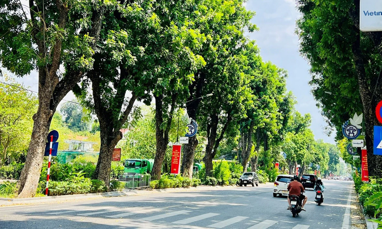 Bộ Xây dựng vừa ban hành văn bản hợp nhất số 82/2026/VBHN-TT-BXD về Thông tư hướng dẫn quản lý cây xanh đô thị.